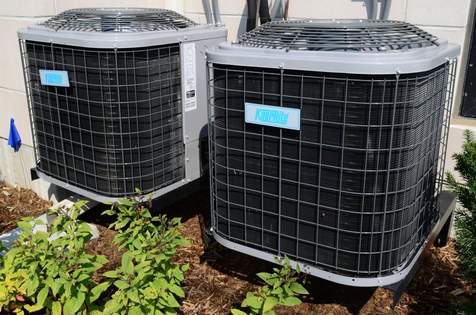 Two outdoor air conditioning units installed beside a building with surrounding vegetation.