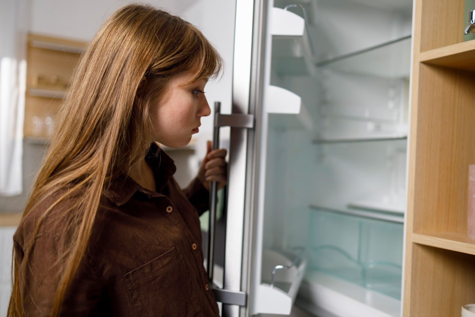 The 7 Possible Causes Reasons Behind a Refrigerator Leaking Water - OPSC