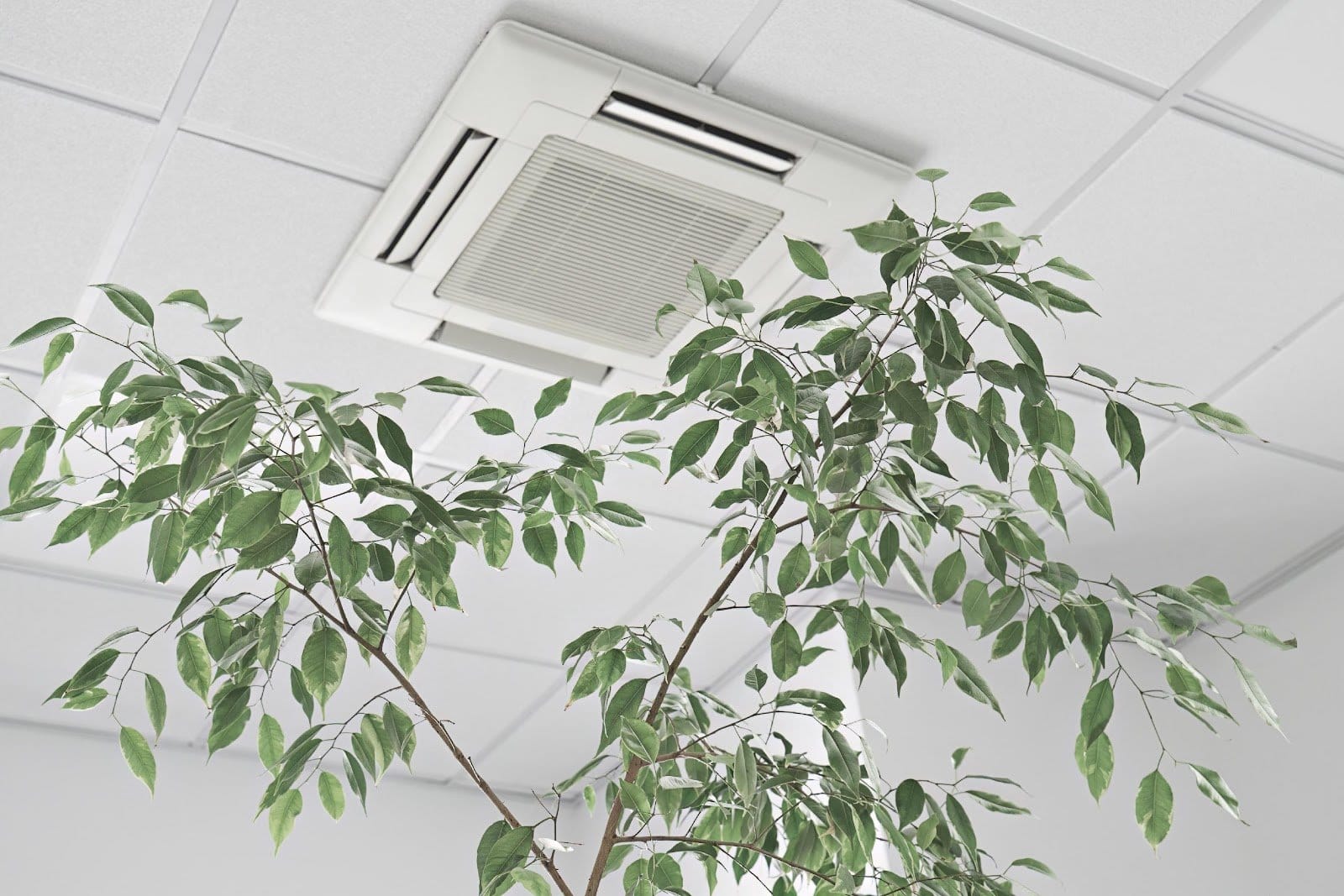 AC Unit