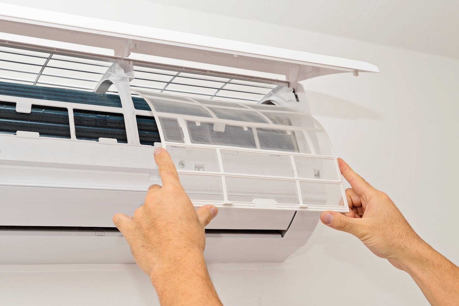 Filters and Purifiers